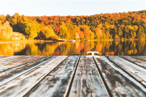 Empty Wooden Dock On The Lake With Trees On Background Stock Photo