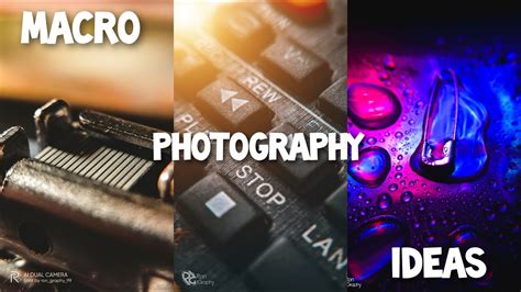 3 Creative Macro Photography Ideas At Home Mobile Macro Photography