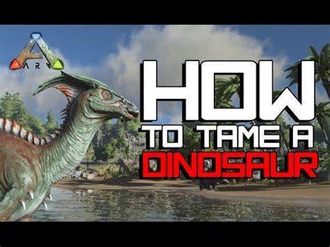 How To Tame A Dinosaur In Ark Survival Evolved Tidyhosts Videos