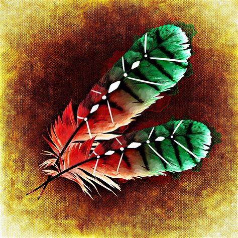 Free Images Wing Abstract Leaf Flower Petal Pattern Green Red