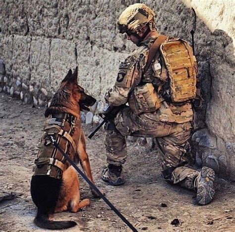 Military Usa Militarycourage Twitter Military Working Dogs