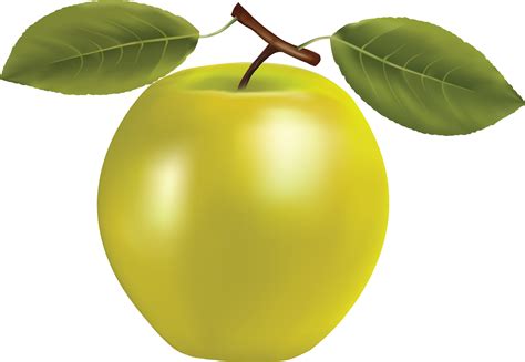 Apple With Leaves Png Transparent Image Download Size 3478x2404px