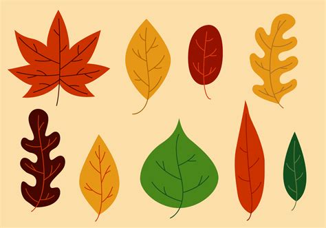 Free Leaves Vector 116347 Vector Art at Vecteezy