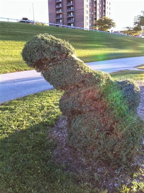Devils Walk Among Us Crime And Humor In Canada Penis Shaped Bush Gets
