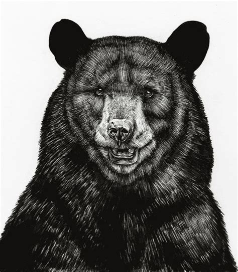 Beautiful Black Bear Illustration By Sebastian Gomez De La Torre Bear Illustration Bear Art