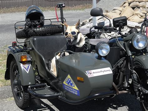 Dog And Motorcycle Humans Of Silicon Valley