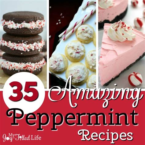 35 Amazing Peppermint Recipes My Joy Filled Life