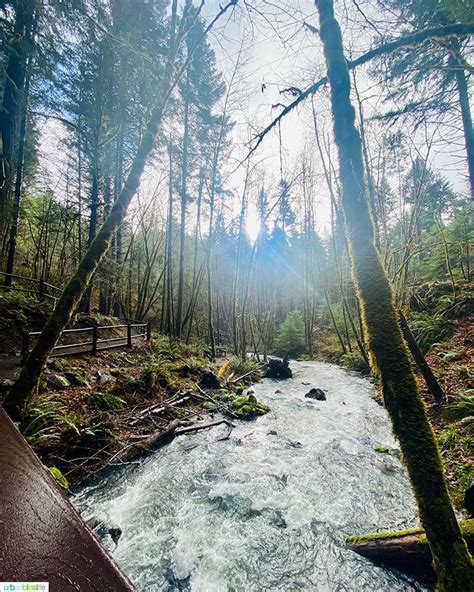 Waterfalls In Southern Oregon Susan Creek Falls Urban Bliss Life