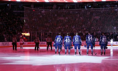 Toronto Maple Leafs Offseason Excitement