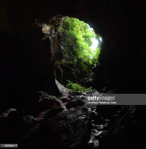Sadan Cave Photos And Premium High Res Pictures Getty Images