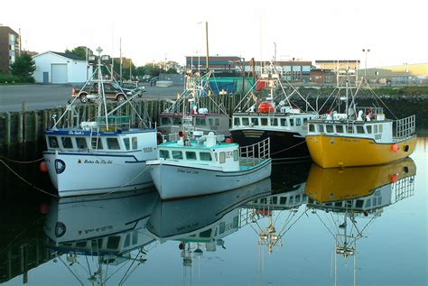 Lobster Fishing Boats In Yarmouth Nova Scotia Image Free Stock Photo