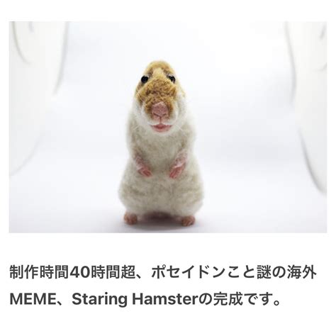 林 On Twitter Rt Omocoro 421の特集 謎のハムスターmeme Staring Hamsterを羊毛