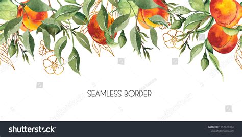 Watercolor Hand Painted Seamless Border Fruits Stock Illustration
