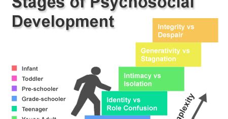 Erikson's theory describes all the social and environmental factors which shape our behaviors and characteristics throughout our lives. Erikson's Theory of Psychosocial Development : Conclusion