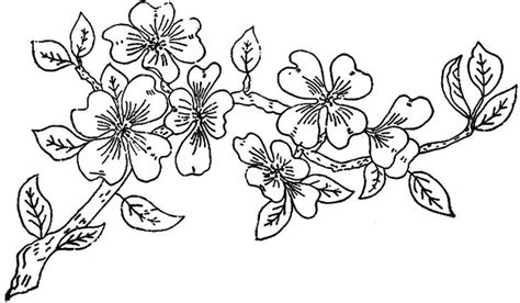 Free Apple Blossom Cliparts Download Free Apple Blossom Cliparts Png
