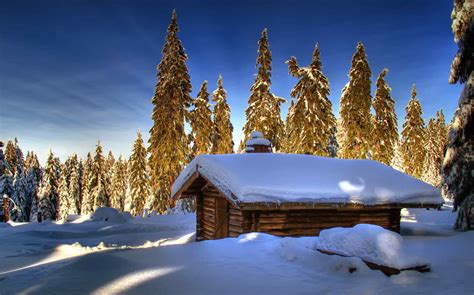 Log Cabin In Winter Forest