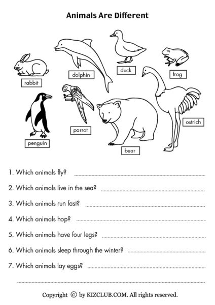 Animal Needs Worksheets 1st Grade