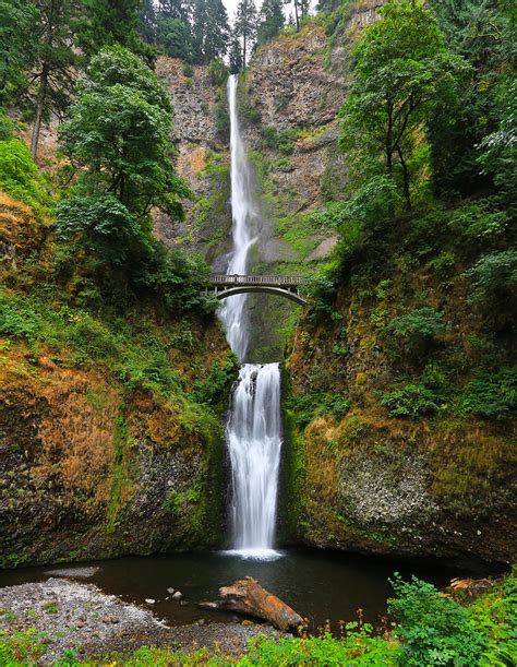 Multnomah Falls Oregon Photograph By Sam Amato