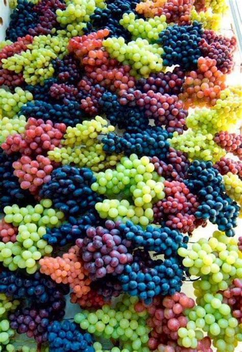 Rainbow Grapes Grapes Fruit Photography Beautiful Fruits