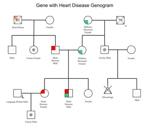 Genogram Adopted Symbol My XXX Hot Girl