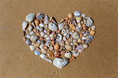 3000 Seashell Heart Stock Photos Pictures And Royalty Free Images Istock