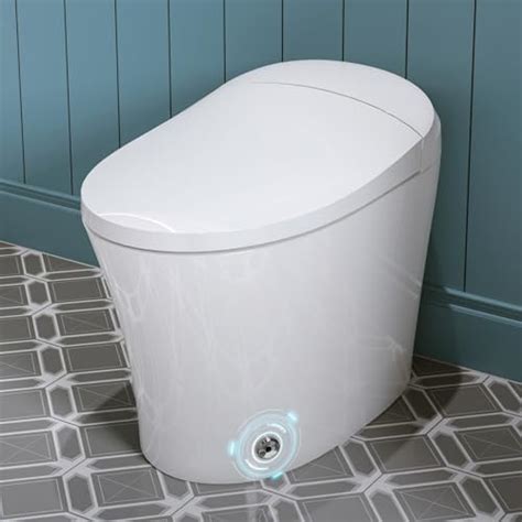Top 10 Best Bidet Toilet Combo Reviews And Buying Guide Glory Cycles