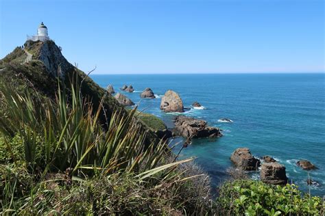 Official instagram for dunedin, new zealand. Küsten-Erlebnisse rund um Dunedin - Pinguine inklusive ...
