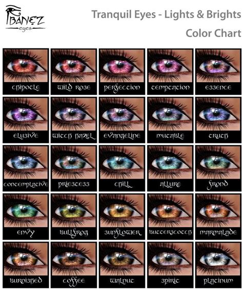 Eye Color Chart Coloring