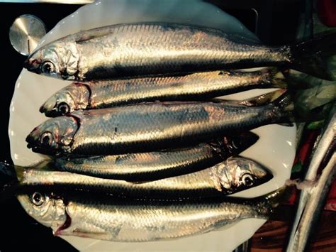 Swedes recommend opening a can only when you're outdoors. Surströmming