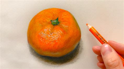 Mandarin Orange Drawing At Getdrawings Free Download