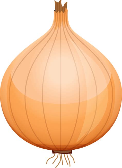 Free Onion Flat Color 18926122 Png With Transparent Background