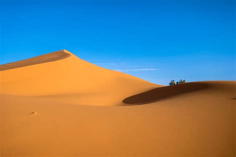 Desert Field · Free Stock Photo