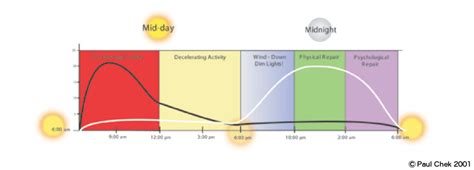 You Just Cant Cheat Nature Circadian Rhythms And Your Hormones C