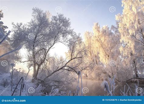 Winter Landscape Frosty Trees Scenic Winter Clear Morning Frost