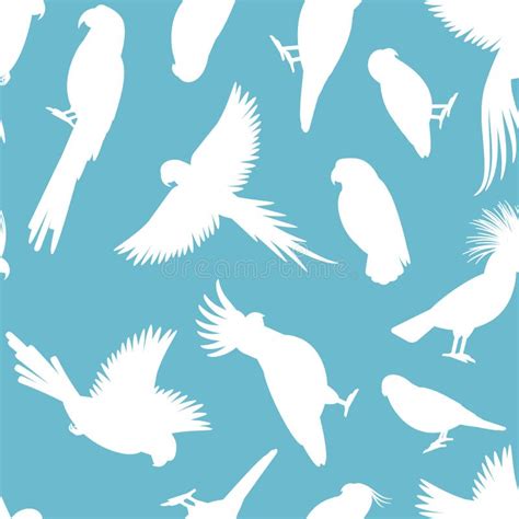 Silhouettes Tropic Birds Stock Illustrations 93 Silhouettes Tropic
