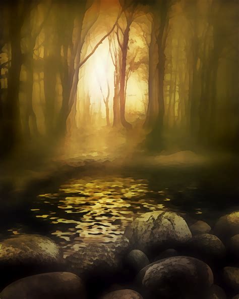 Forest Dream Free Stock Photo Public Domain Pictures