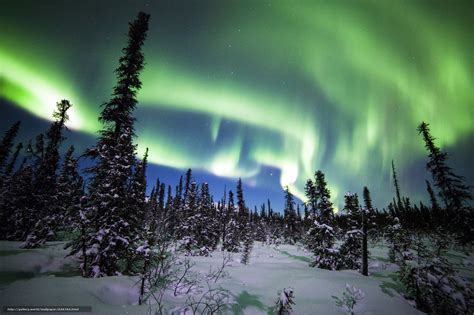 Download Wallpaper Denali National Park Alaska Northern