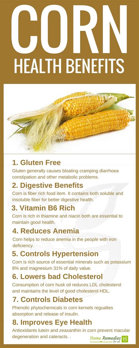 Corn Is A Nutritious Food It Offers Multiple Health Benefits It Can