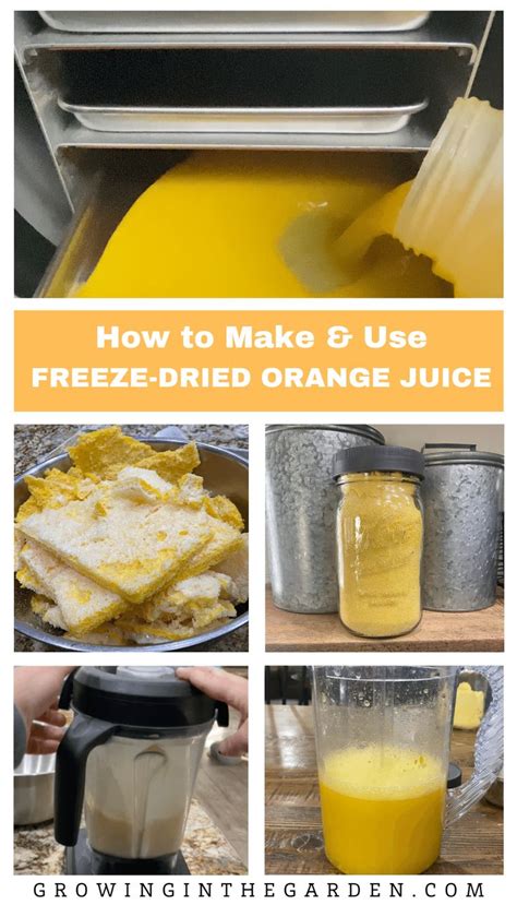 How To Make And Use Freeze Dried Orange Juice Best Freeze Dried Food