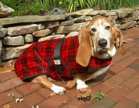 Basset Hound Sweater