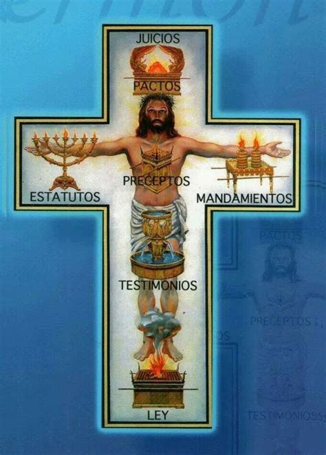 Estatura Del Tabernáculo De Moisés Bible Images Bible Pictures Arc Of