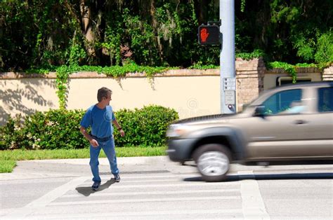 Jaywalking Man About To Be Run Over By Truck Stock Photo Image Of