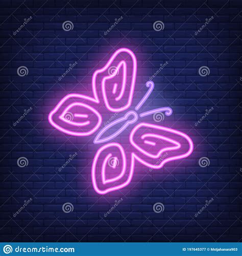 Butterfly Neon Sign Stock Vector Illustration Of Graphic 197645377