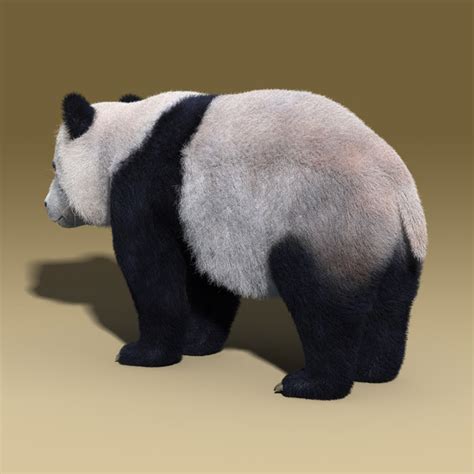 Max Panda Bear Fur