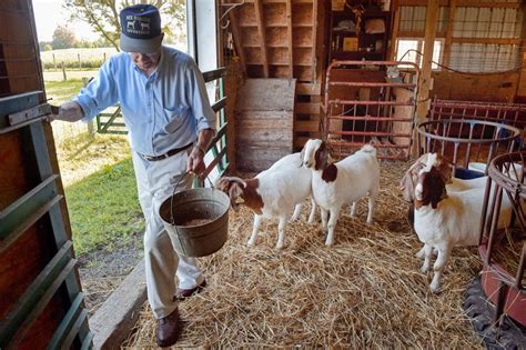 Are Meat Goats An Antidote For Struggling Lancaster County Dairy
