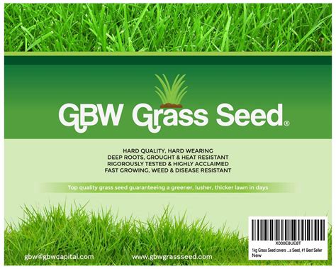 1 Kg Grass Seed Covers 35 Sqm 380 Sq Ft Premium Quality Seed Fast