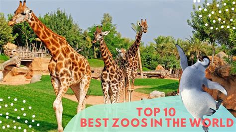 Top 10 Best Zoos In The World Youtube