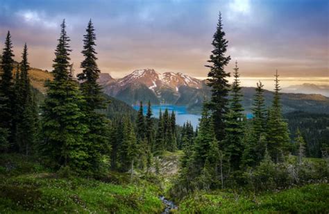 British Columbia Stock Photos Pictures And Royalty Free Images Istock