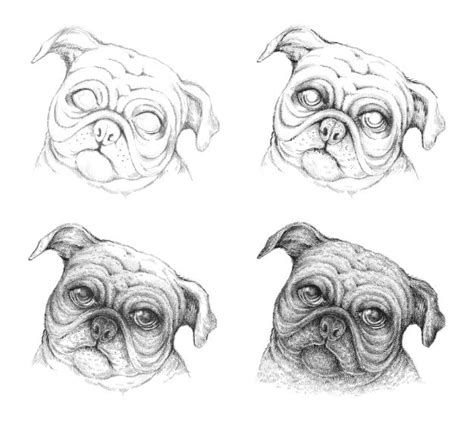 How to draw a dog realistic. How To Draw A Realistic Dog Easy Step By Step - Color and Drawing
