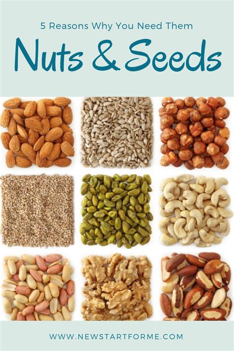 Nuts And Seeds List Of Nutritional Data Comparing Common Varieties